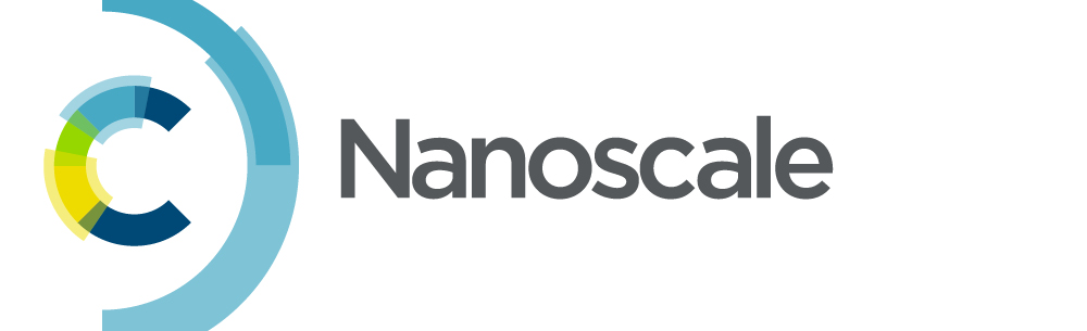 Nanoscale logo